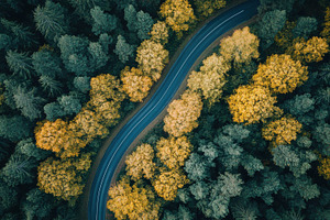 Winding road through autumn forest a, a Photo by Pixeness Studio