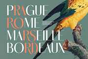 Marogis Elegant Sans Serif Font, a Sans Serif Font by timelesstype.co (Thumbnail 19 of 20)