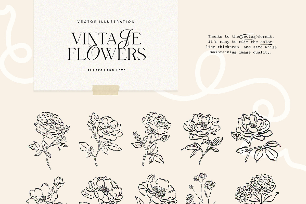 Vintage Botanica | Illustration Kit, an Object Illustration by KetteCreate (Photo 7 of 13)