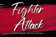 Fighter Attack