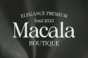 Staller - A Modern Beauty Font, a Serif Font by Marvadesign (Thumbnail 3 of 7)