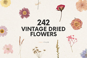 242 Vintage Dried Flowers, an Object Graphic by Ksuview
