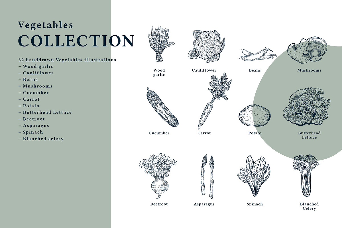 The Vegetables Collection, a Food Illustration by dicreate (Photo 3 of 14)