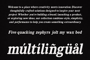 Vanielst Elegant Serif Stylistic, a Serif Font by Maulana Creative (Thumbnail 5 of 7)