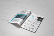 Proposal, a Brochure Template by Sabin (Thumbnail 6 of 12)
