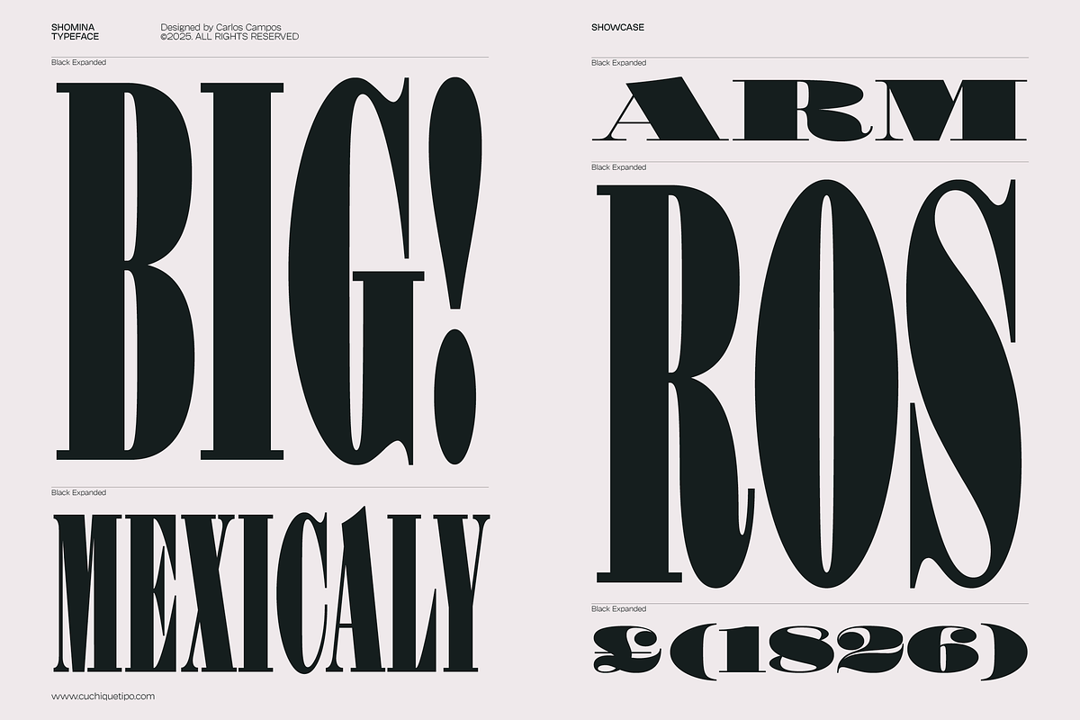 Shomina Font, a Serif Font by Cuchi, qué Tipo! Foundry (Photo 17 of 21)