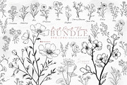 Birth Month flowers Svg, bundle 125, a Graphic by Drawberx (Thumbnail 1 of 10)