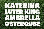 YNF Headliner | Wonderful sans serif, a Sans Serif Font by YNF (Thumbnail 12 of 24)