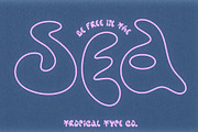 Display Font Collection, a Slab Serif Font by Tropical Type (Thumbnail 10 of 46)