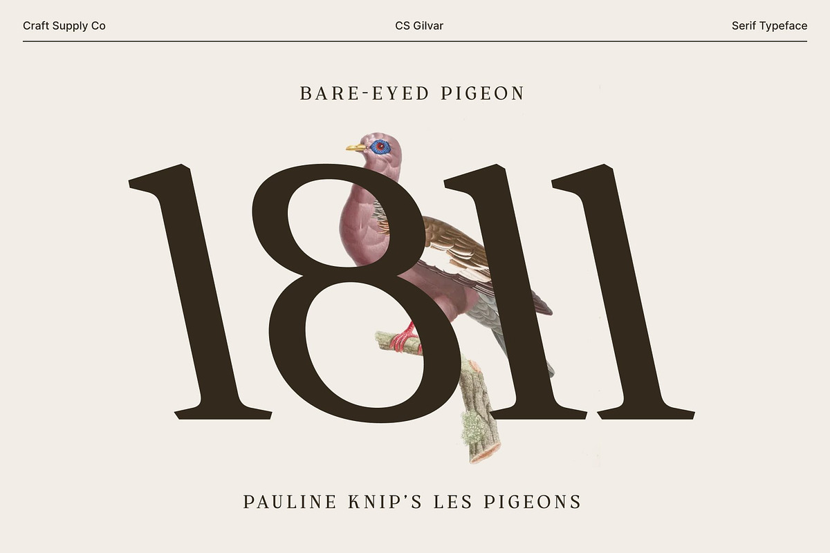 CS Gilvar – Classic Serif Font, a Serif Font by Craft Supply Co. (Photo 5 of 8)