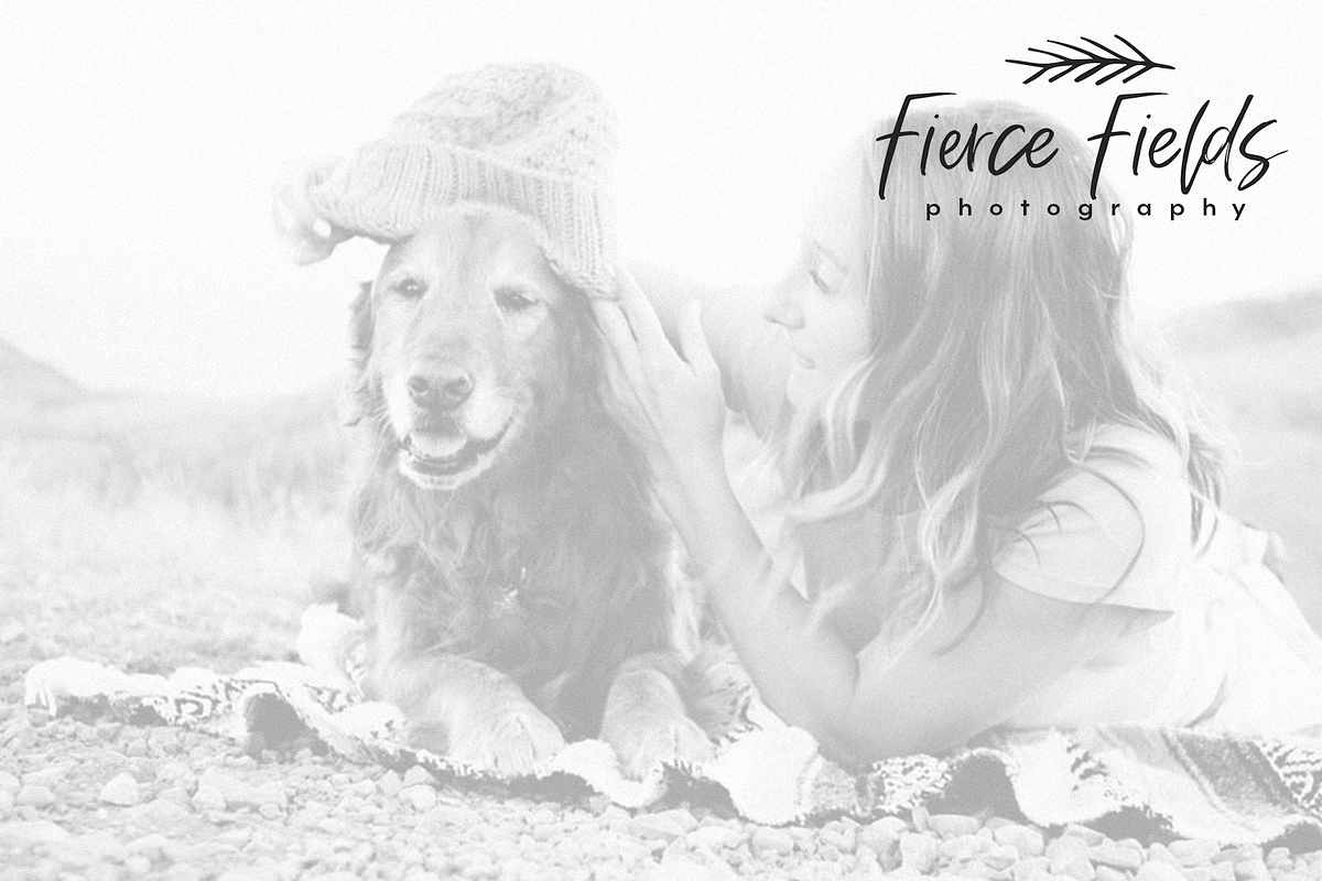 Fall Harvest - Font with Extras, a Handwritten Font by KA Designs (Photo 13 of 15)