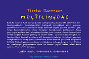 TintaRoman font BUNDLE, a Script Font by Inkoteka (Thumbnail 4 of 8)