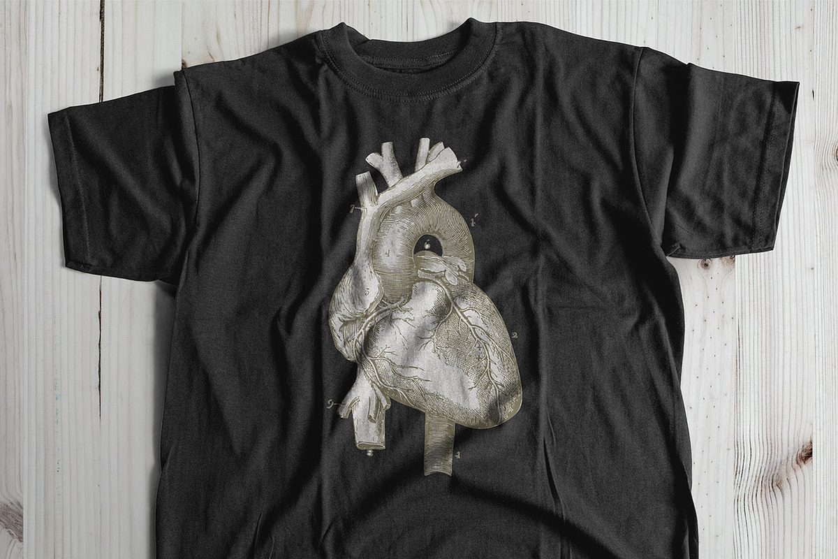 Anatomy Engravings Set, an Object Graphic by Graphic Goods (Photo 7 of 7)