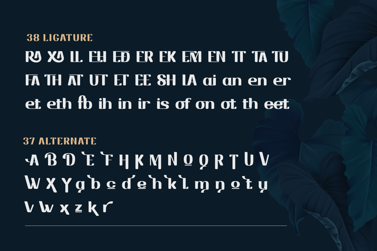 Drafbink | Serif Classic Modernism, a Serif Font by twinstd (Photo 12 of 13)