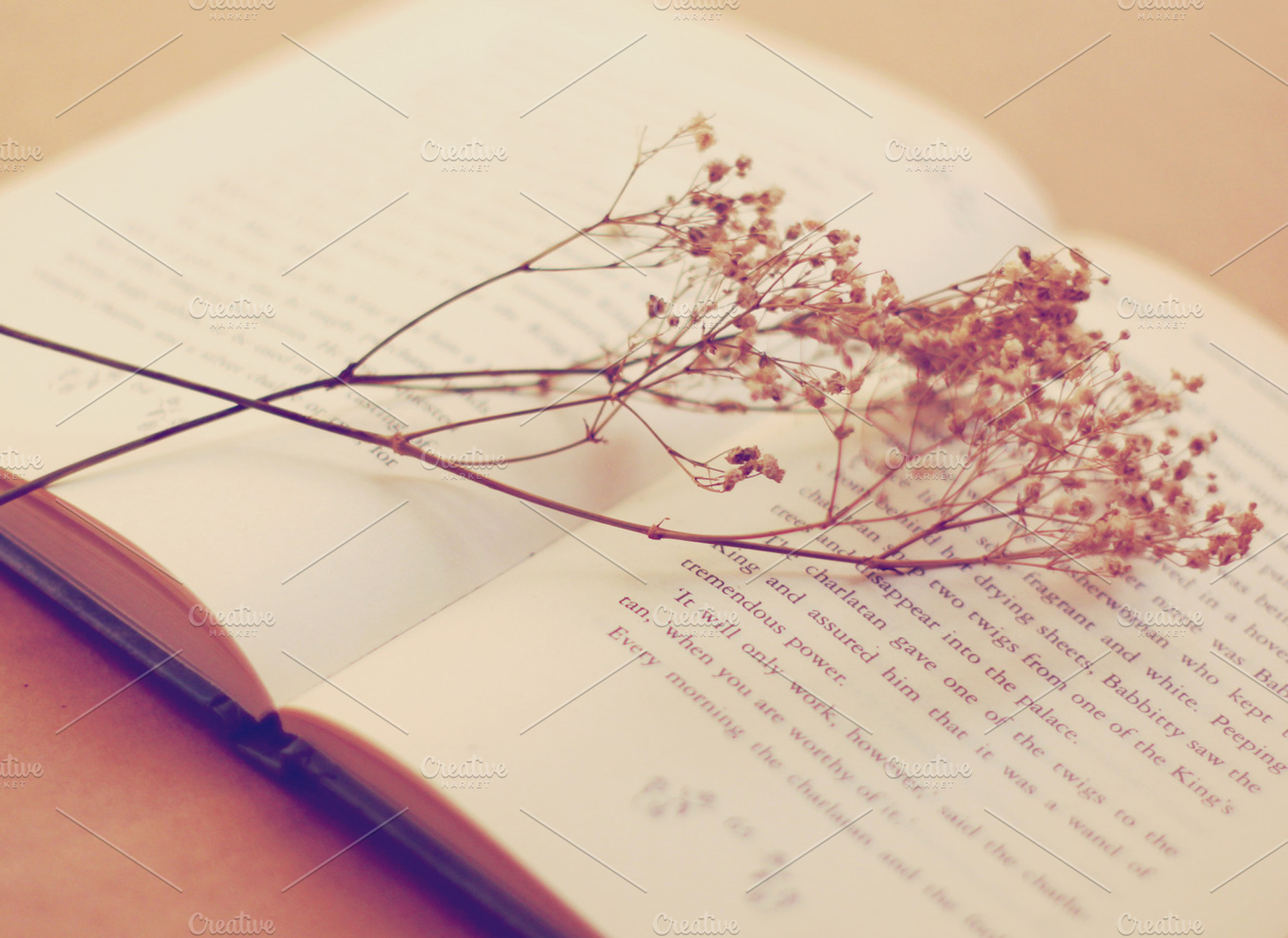 Flower And Good Book