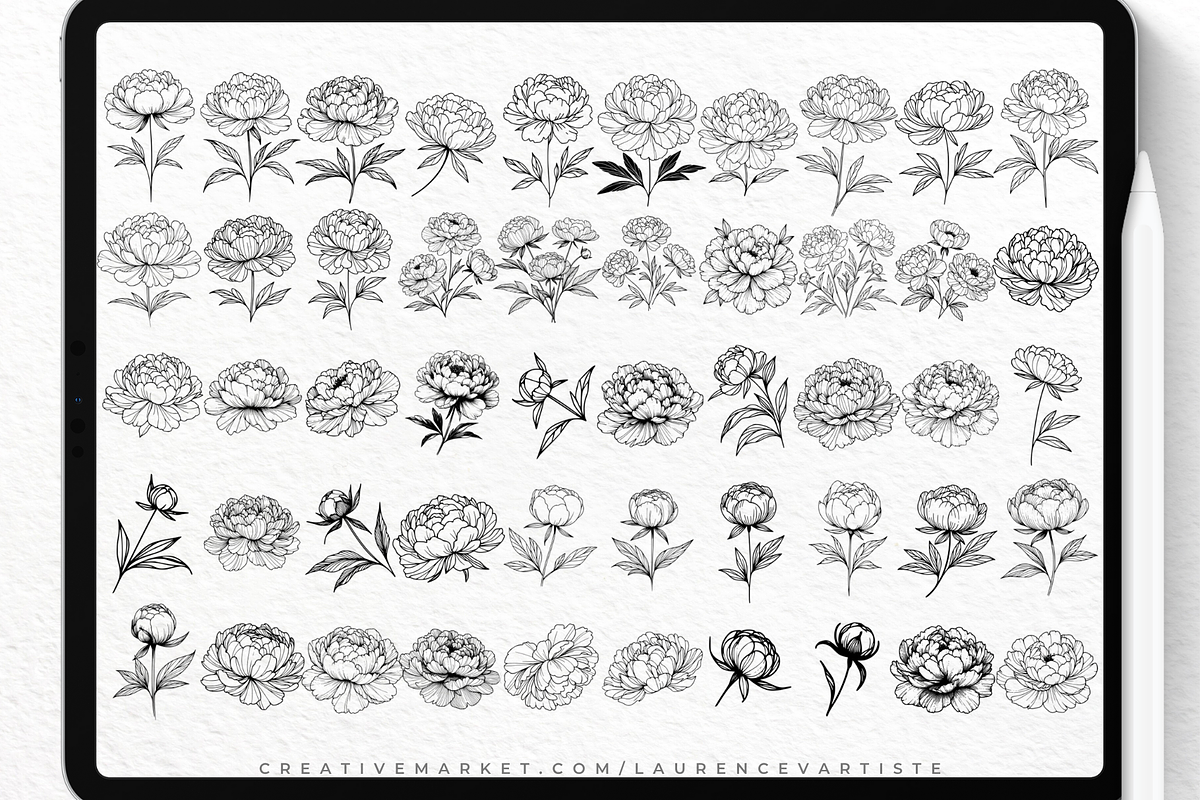 100 Peony Png Svg Procreate Brushes, a Brush Add-On by LaurenceVArtiste (Photo 7 of 9)