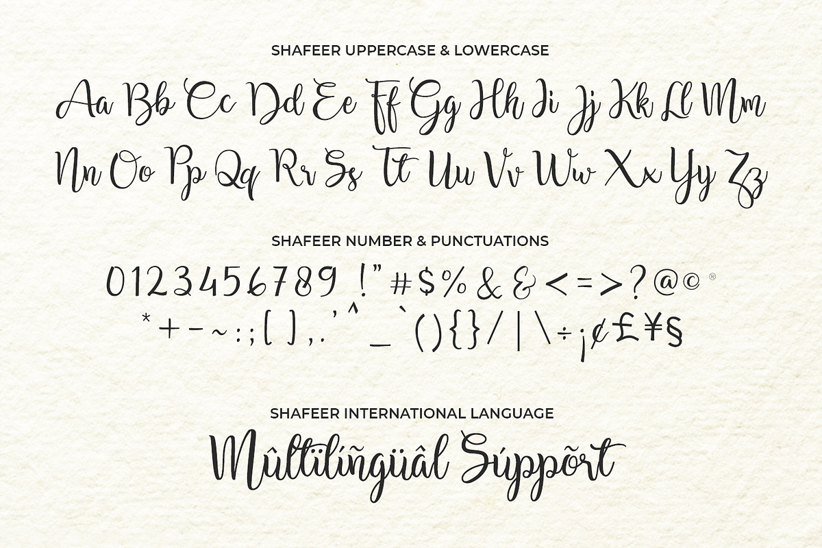 Shafeer, a Script Font by Abo Daniel Studio (Photo 10 of 15)