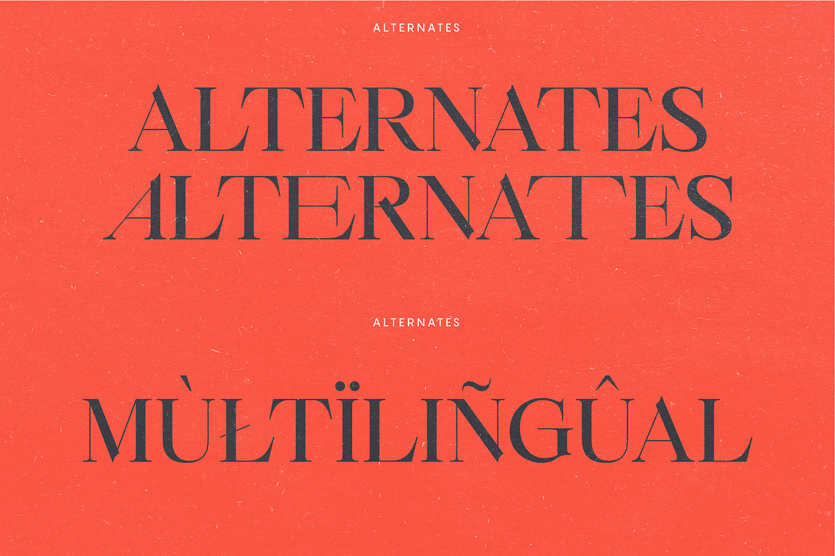 Belize - Stylish Ligature Serif Font preview 4