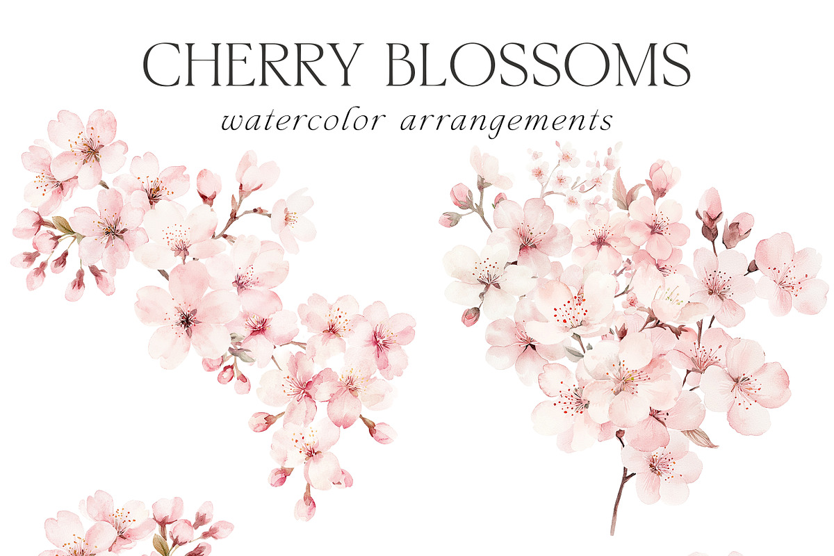 New! Spring Edition, a Seasonal Illustration by Isabelle Salem (Photo 27 of 290)
