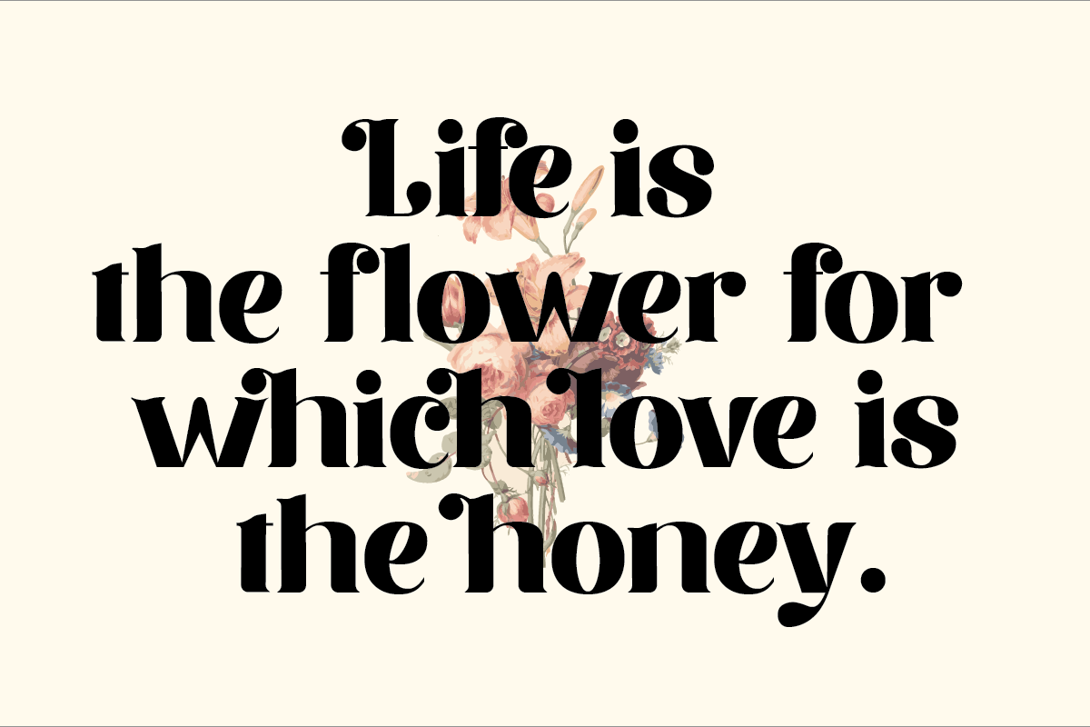 Merdian, a Serif Font by Muksal Creative (Photo 6 of 8)