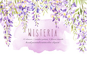 Wisteria watercolor set, an Illustration by PS_patterns (Thumbnail 1 of 4)