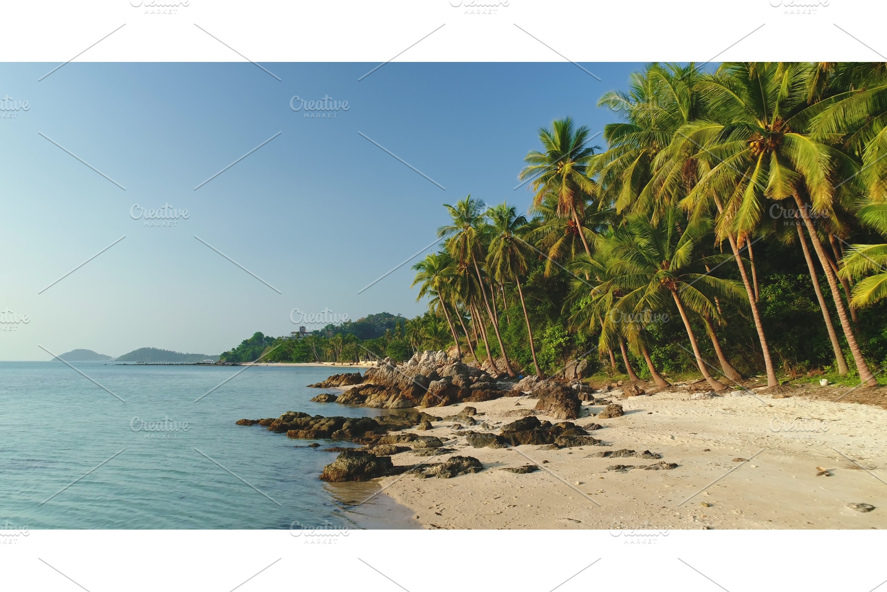 Tropical beach with coconut palm, a Nature Photo by Goinyk