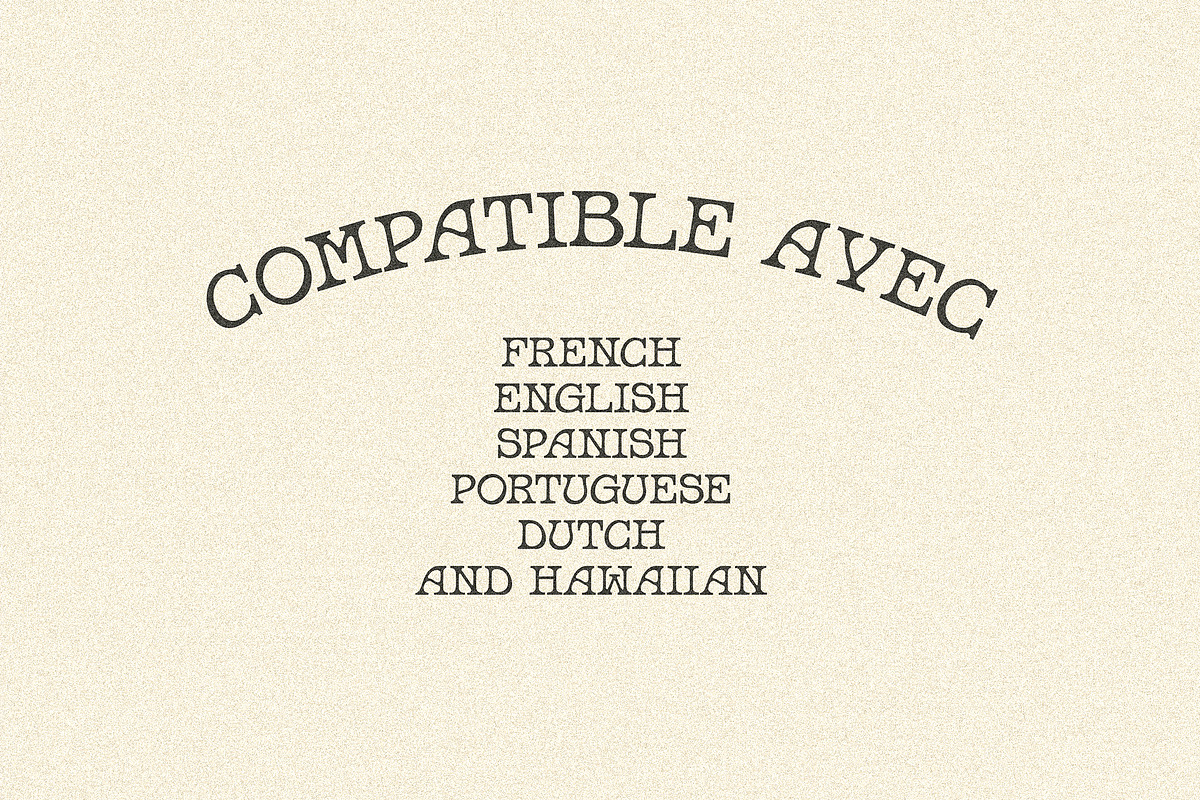 MC Suisse, a Font by McLetters (Photo 4 of 7)