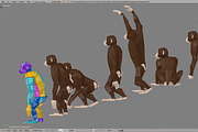 Chimpanzee, an Animal 3D Model by Studio Ochi (Thumbnail 10 of 10)