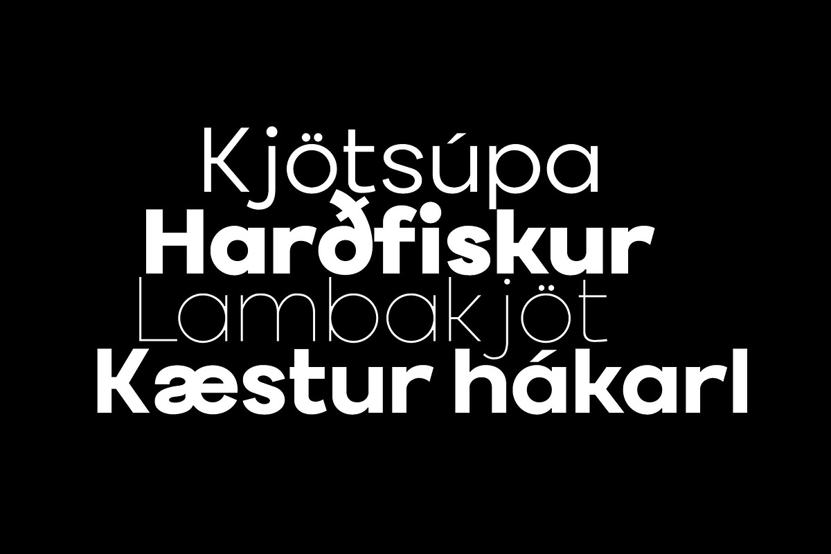 Saryeoni Sans Font Family, a Sans Serif Font by Ryul Davidson (Photo 8 of 11)