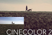 CINECOLOR SET OF PHOTOSHOP ACTIONS preview 4