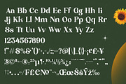 Shine Dailys Groovy Serif Font, a Serif Font by timelesstype.co (Thumbnail 18 of 20)