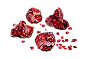 Pomegranate Watercolor, a Food Illustration by ArtOwl (Thumbnail 3 of 6)