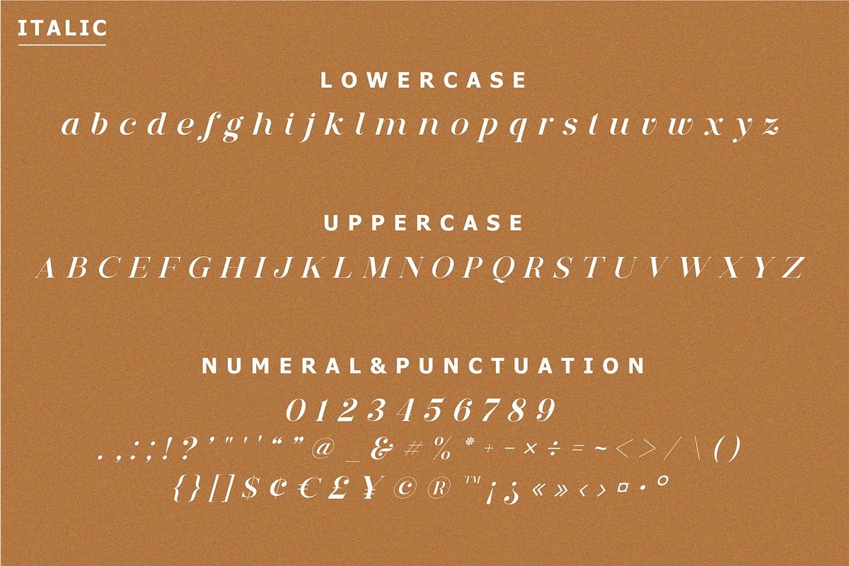 Deroma Serif, a Serif Font by Yahya Type (Photo 19 of 22)
