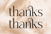 Qenliago Modern Serif Font, a Serif Font by Storytype Studio (Thumbnail 15 of 15)