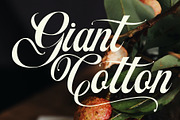 Artheria Classic Script, a Script Font by Fortunes Co (Thumbnail 4 of 13)