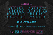Alpha Spike Typeface, a Serif Font by alit design (Thumbnail 12 of 17)