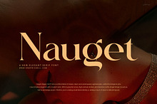 Nauget Elegant Serif Font