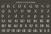 Morige - Elegant Serif Display, a Serif Font by roomspace creative lab (Thumbnail 10 of 10)
