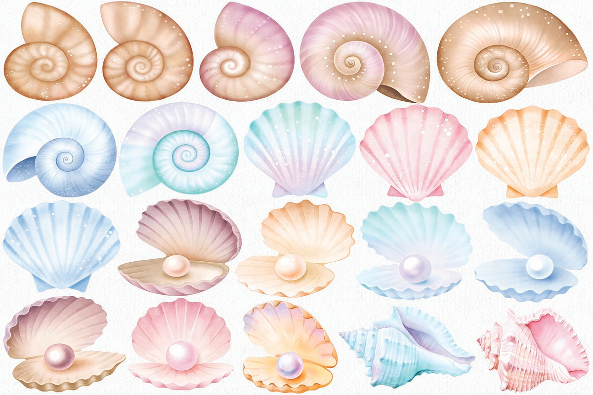 Watercolor Seashells Clipart Set, an Illustration by CropUp Creative (Photo 2 of 4)