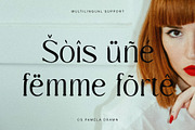 CS Pamela Drawn, a Serif Font by Craft Supply Co. (Thumbnail 7 of 8)