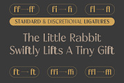Megiko | High Contrast Classic Font, a Sans Serif Font by Hole Hope Design (Thumbnail 5 of 10)