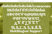Garden Delight Modern Retro Serif, a Serif Font by timelesstype.co (Thumbnail 19 of 20)