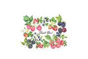 Wild Berry Watercolor Clipart, a Food Illustration by OlDm_Shop (Thumbnail 8 of 8)