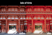 8 Wes Anderson Lightroom Presets, a Preset Add-On by Gridfiti (Thumbnail 7 of 9)
