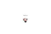 Isolated real flowers clipart set, an Object Graphic by The Graphic Parade (Thumbnail 14 of 14)