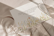 Watercolor dreamy Wildflowers Set, a Decorative Illustration by Grace Noboa Illustrations (Thumbnail 5 of 15)