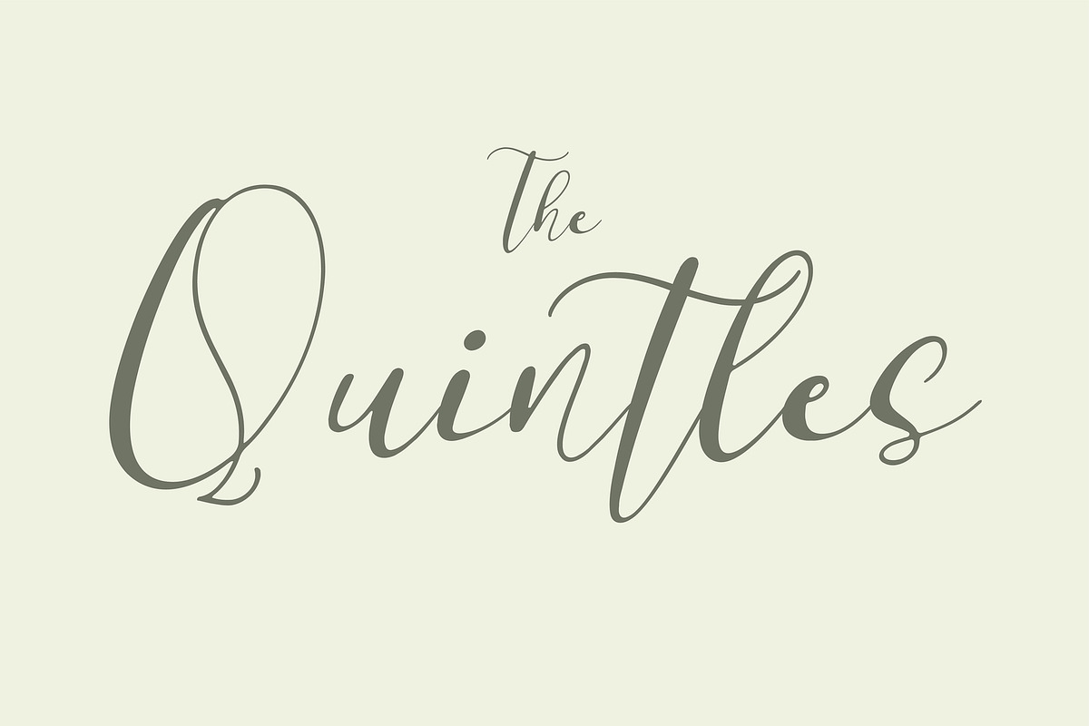 Leitucy Script Font, a Handwritten Font by Panatype™ Studio (Photo 7 of 10)