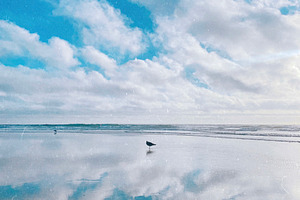Nature is a mirror of ourselves