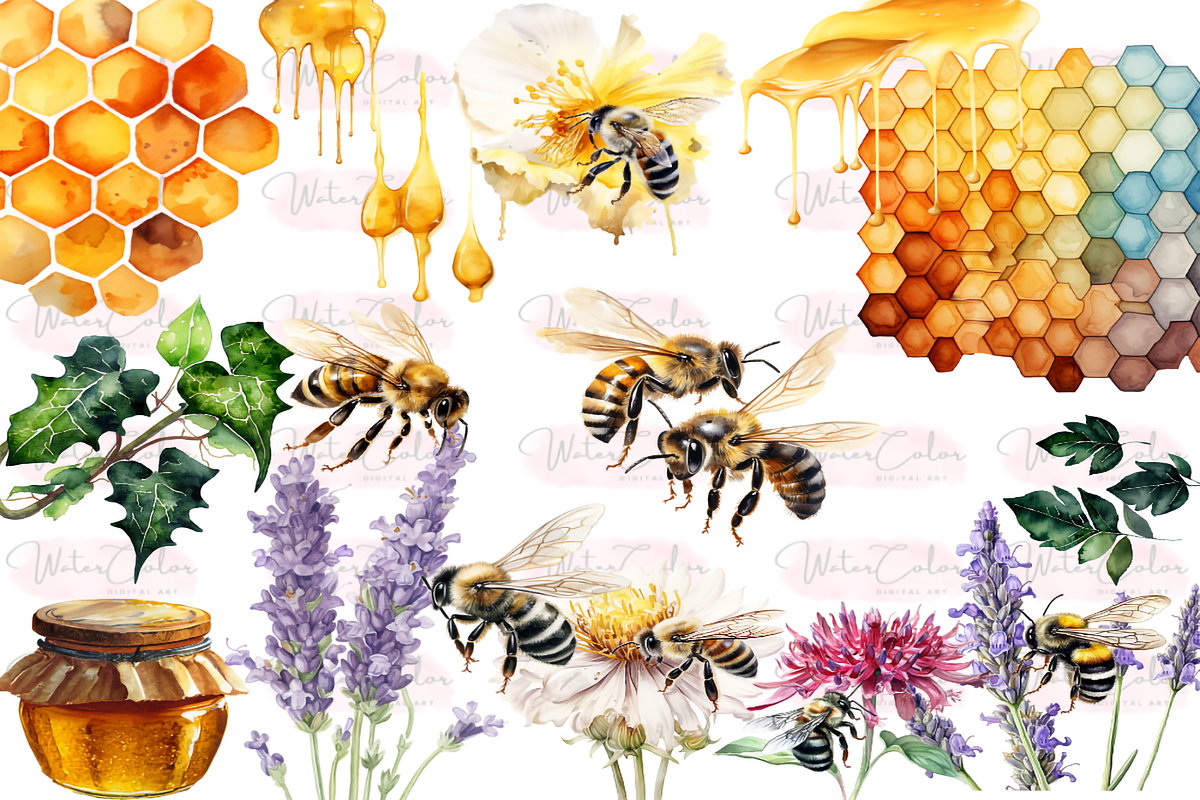 Honey Bee Watercolor Clipart, a Decorative Illustration by Watercolor Digital (Photo 2 of 7)