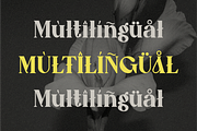 Caooli - Elegant Serif Font, a Serif Font by MaikoHatta (Thumbnail 7 of 8)